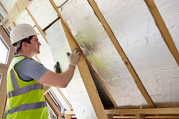 Best Residential Insulation in Woodland Park, CO